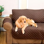 couch-coat-3----4
