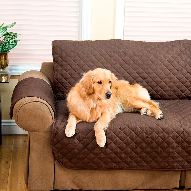couch-coat-3----4
