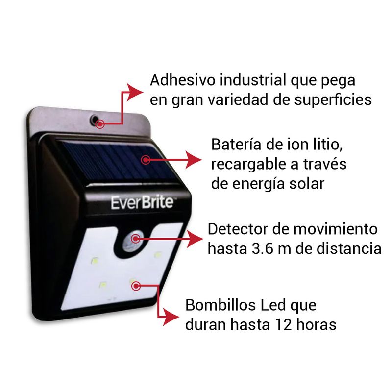 Ever-Brite-caracteristicas