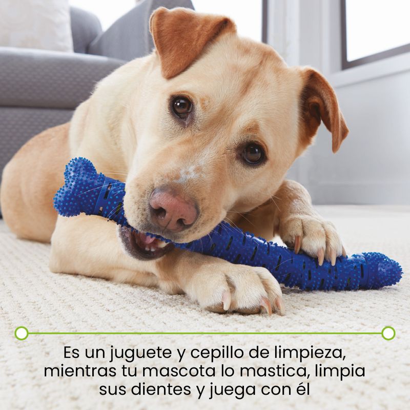 Chewbrush-juguete-para-perros