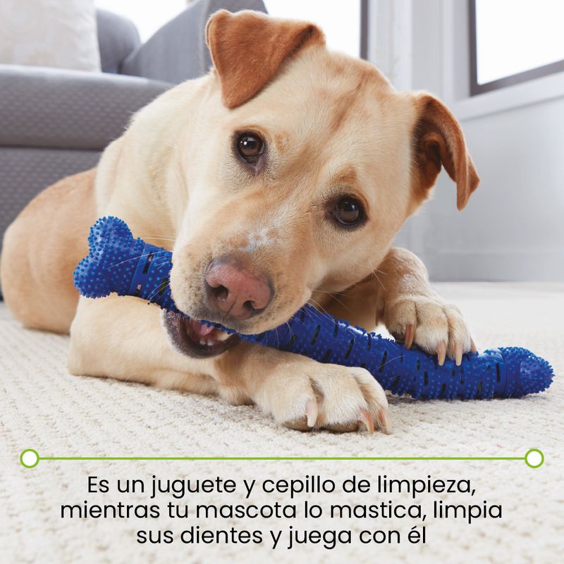 Chewbrush juguete para perros