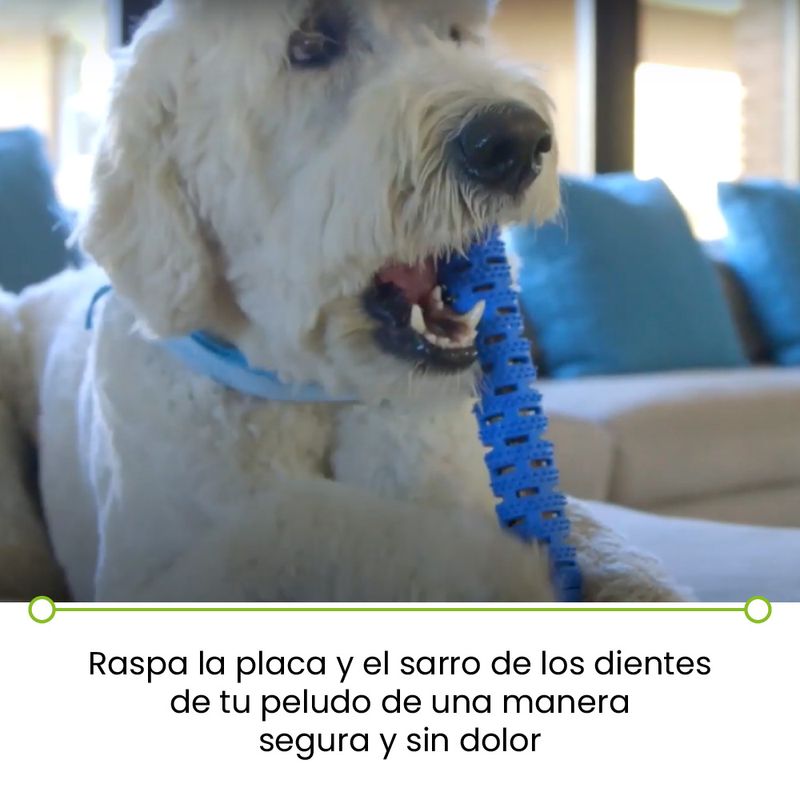 Chewbrush cepillo de dientes para perros