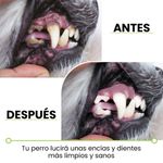 Chewbrush-hueso-para-perros