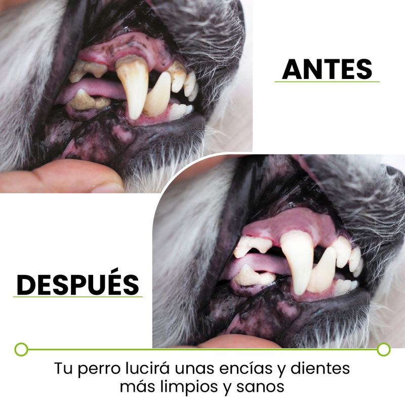 Chewbrush-hueso-para-perros