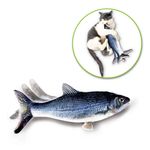 Flippity-Fish-Cat-Toy
