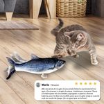 Flippity Fish Cat Toy opiniones