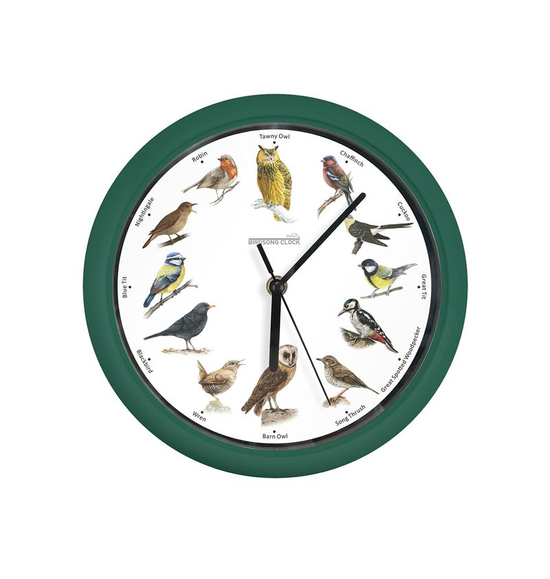 Reloj con sonidos naturales de aves reales ideal para la sala