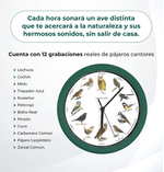 Son-doce-diferentes-sonidos-de-pajaros-reales-silvestres