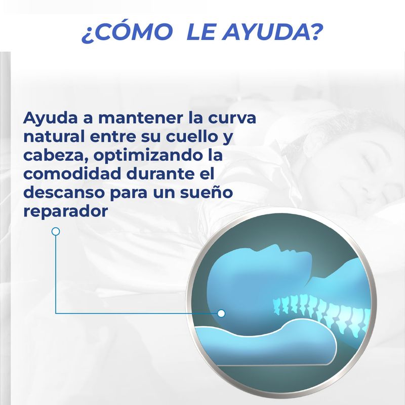 03_ergo_pillow